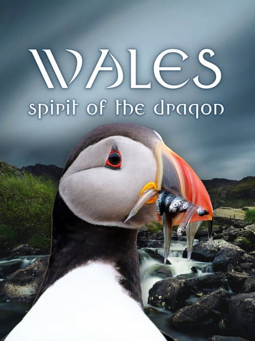 Wildes Wales