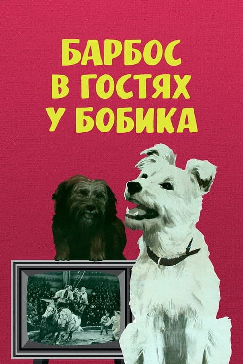 Барбос в гостях у Бобика