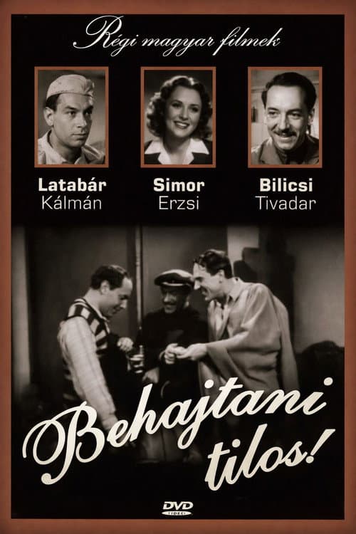 Behajtani tilos