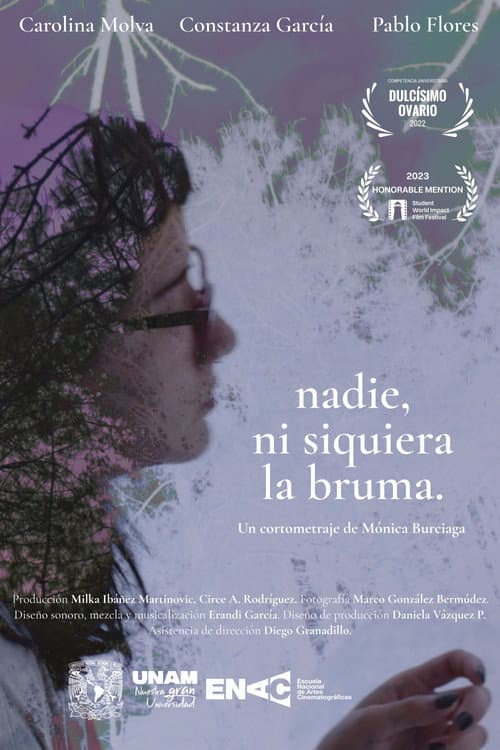 Nadie, ni siquiera la bruma