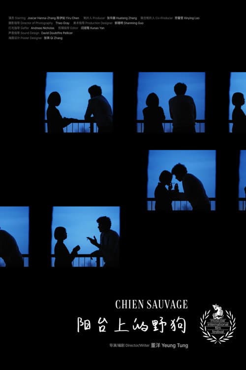阳台上的野狗