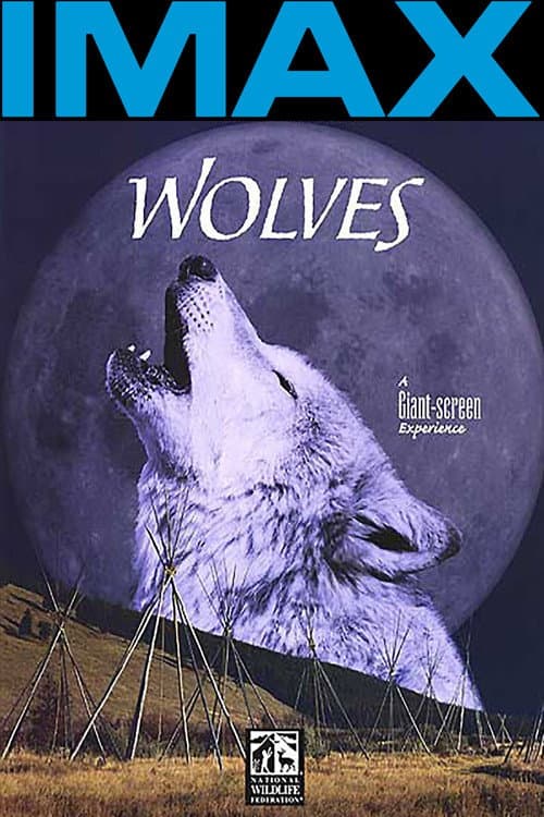 IMAX Nature - Le loup