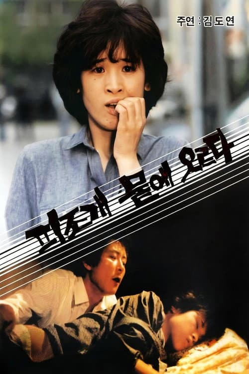 피조개 뭍에 오르다