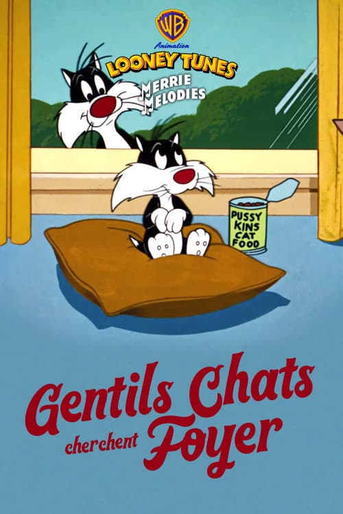 Gentils chats cherchent foyer