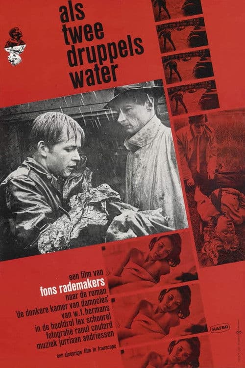 Comme deux gouttes d'eau