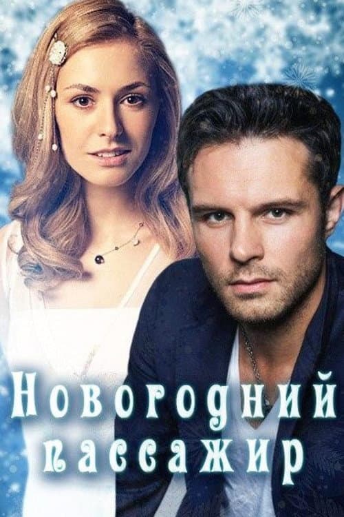 Новогодний пассажир