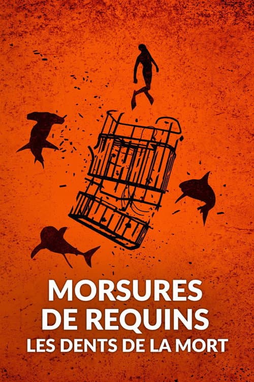 Morsures de requins : les dents de la mort