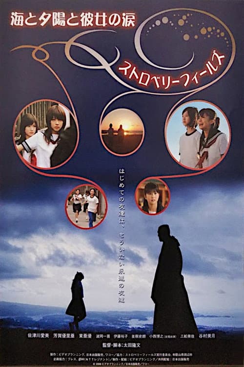 海と夕陽と彼女の涙　ストロベリーフィールズ