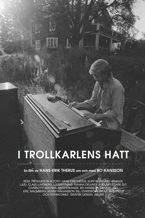 I Trollkarlens hatt