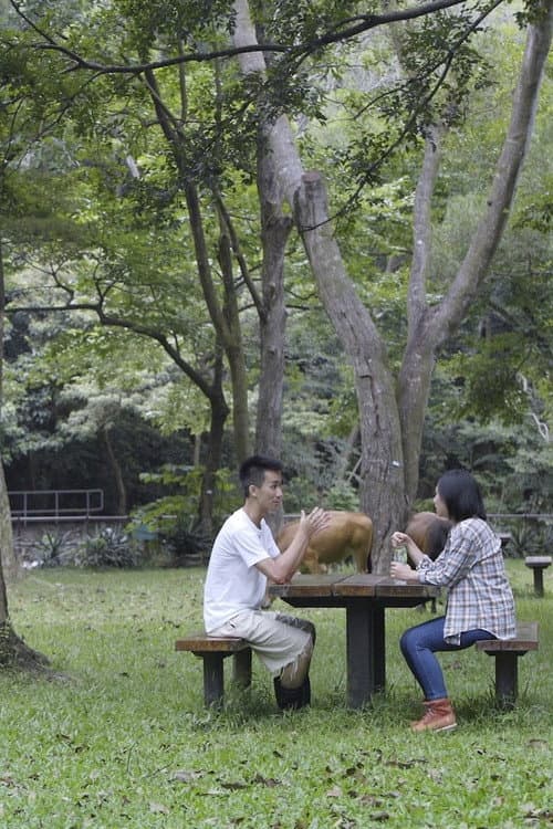 守牛人