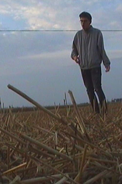 Horizonto Šaknys