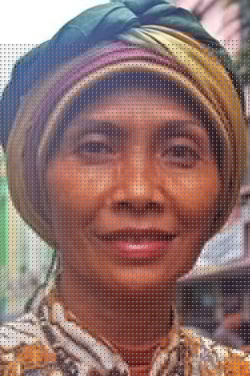 Elly D. Luthan