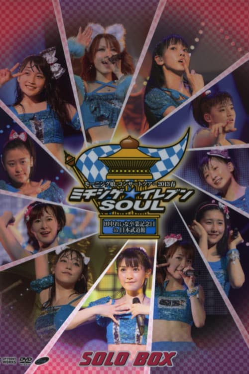 モーニング娘。 コンサートツアー 2013春 Solo 道重さゆみ ミチシゲ☆イレブンSOUL ～田中れいな 卒業記念スペシャル～