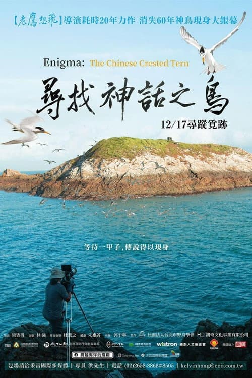 尋找神話之鳥