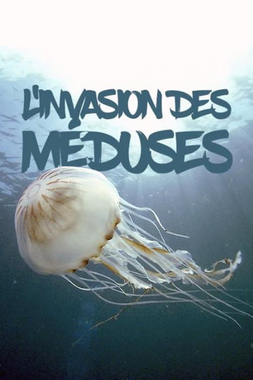 L'invasion des méduses – Une prolifération inquiétante