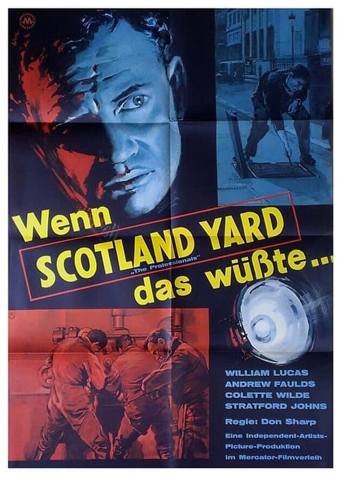 Les Professionnels