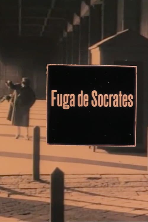 Un drôle de Coco