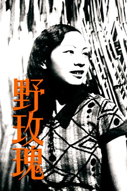 野玫瑰