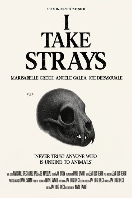 I TAKE STRAYS