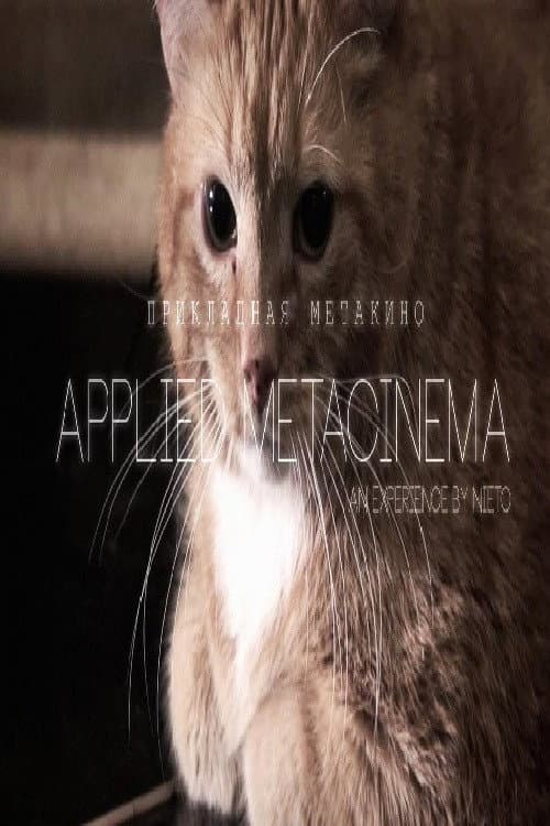 Applied metacinema