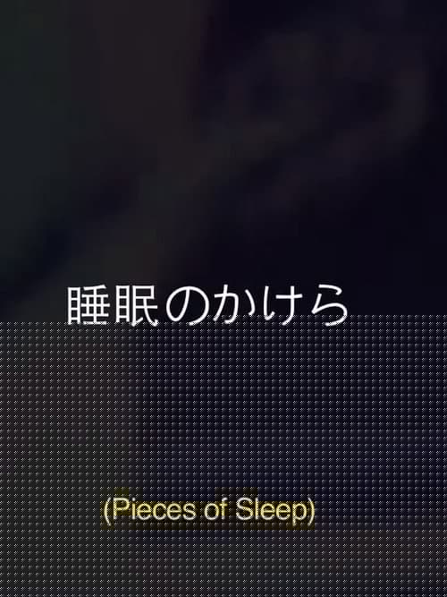 Pieces Of Sleep: The 1993 Japan Tour Re-Imagined