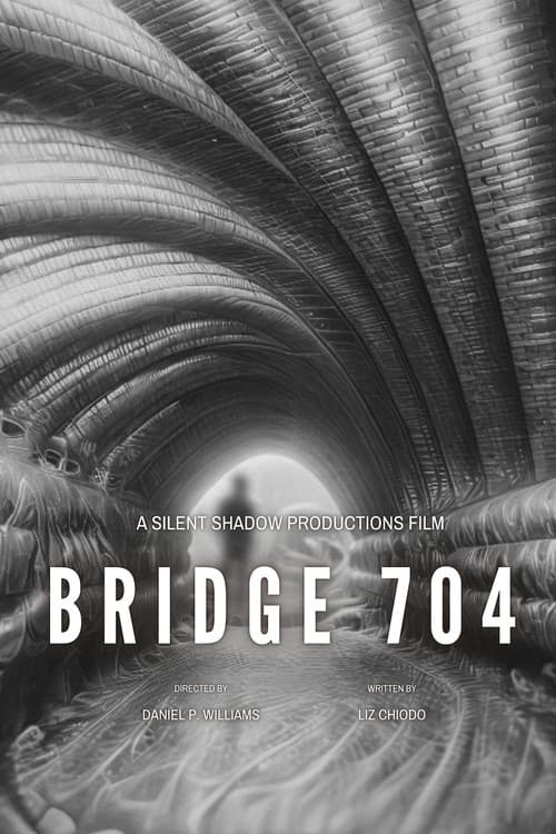 Bridge 704