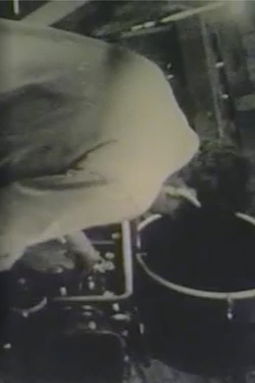 Robert Frank Films