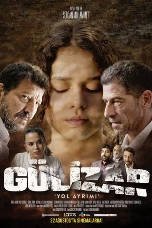 Gülizar Yol Ayrımı