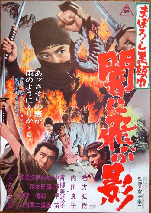 まぼろし黒頭巾　闇に飛ぶ影