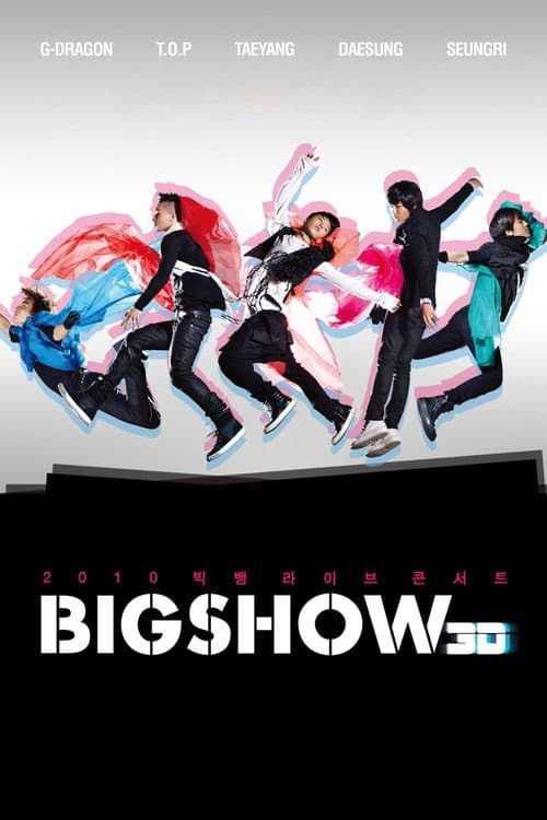 2010 빅뱅라이브콘서트 BIGSHOW 3D