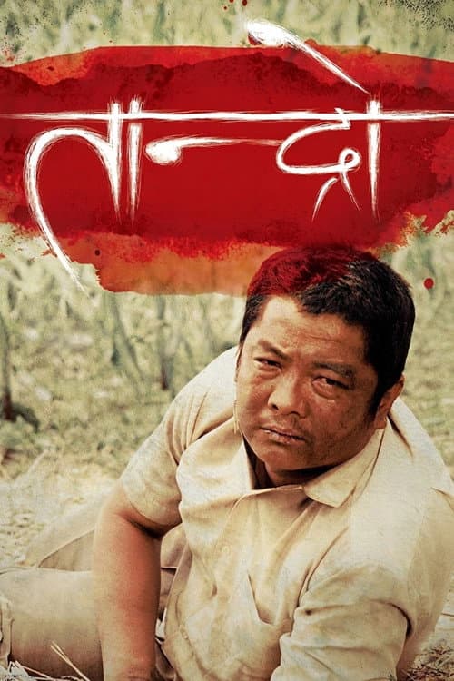 तान्द्रो