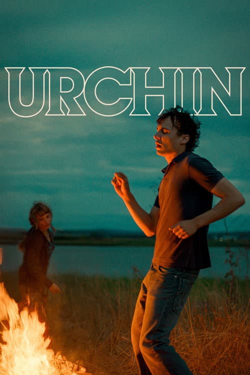 Urchin