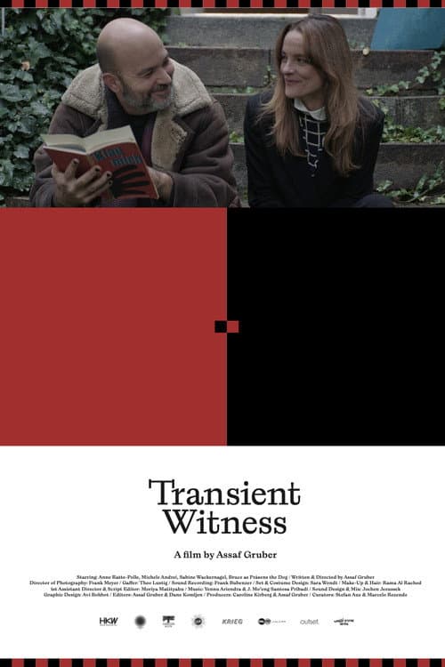 Transient Witness