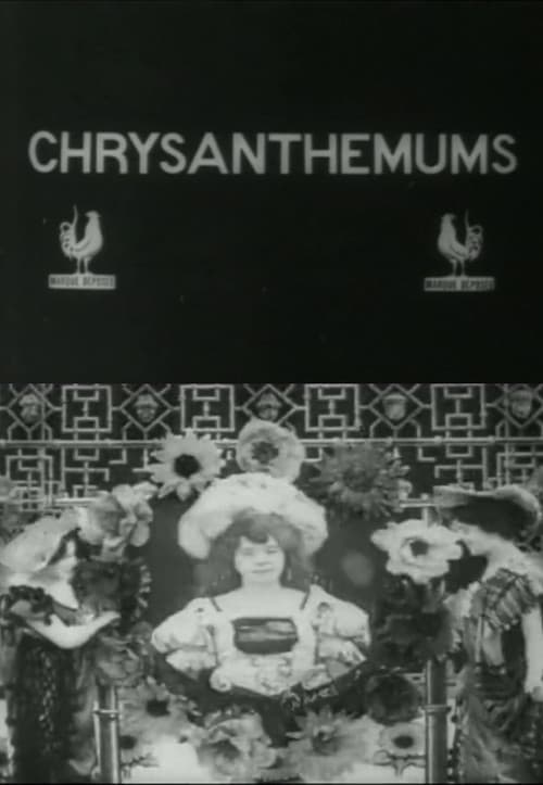 Les Chrysanthèmes
