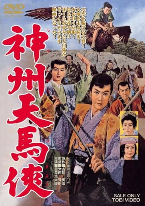 神州天馬侠