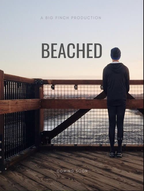 Beached