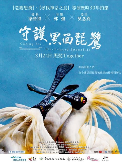 守護黑面琵鷺