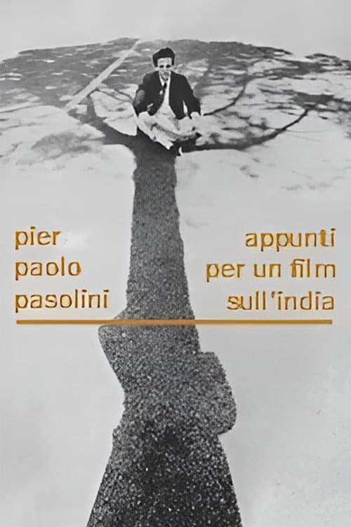 Notes pour un film sur l'Inde
