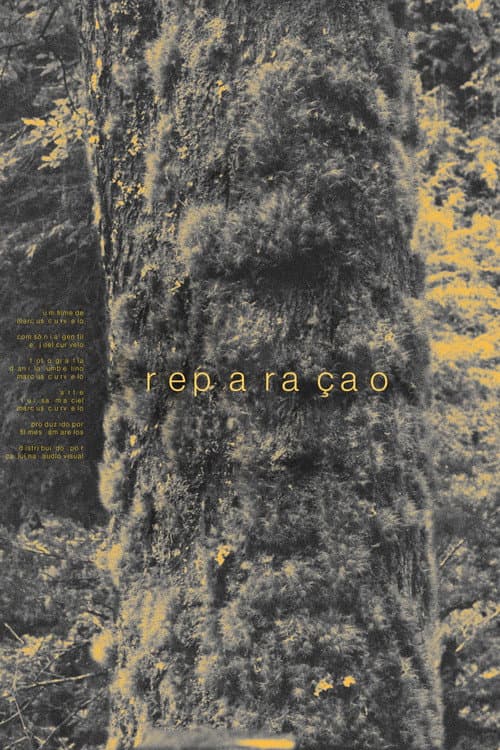 Reparação