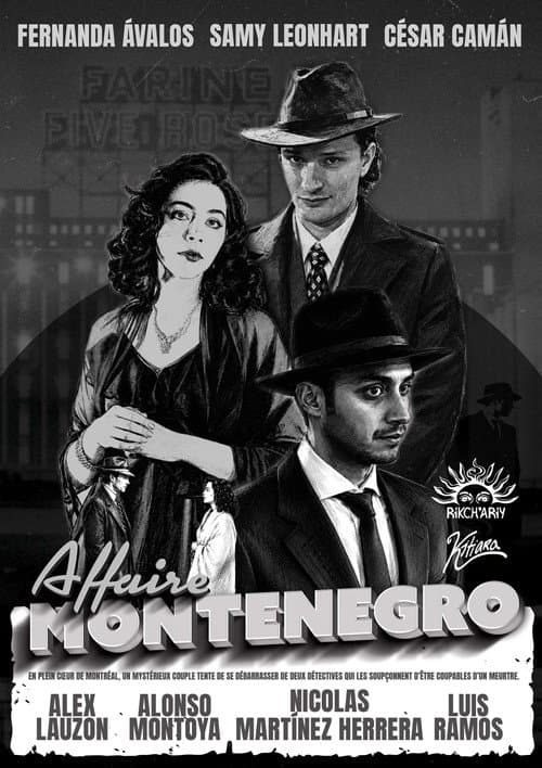 Affaire Montenegro