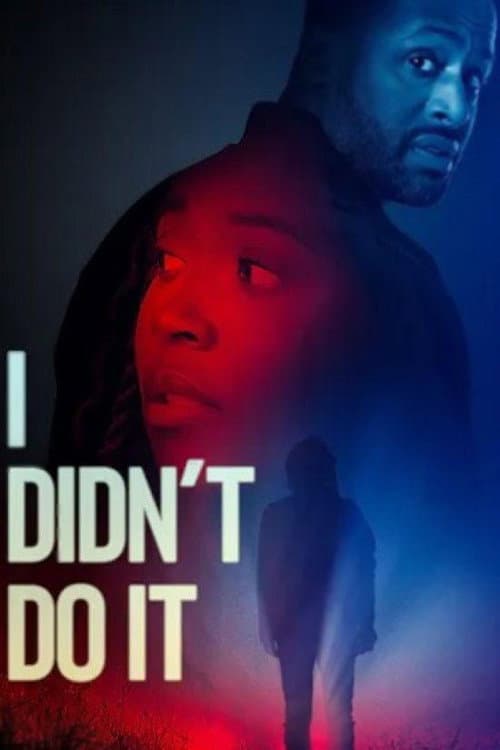 I Didn't Do It