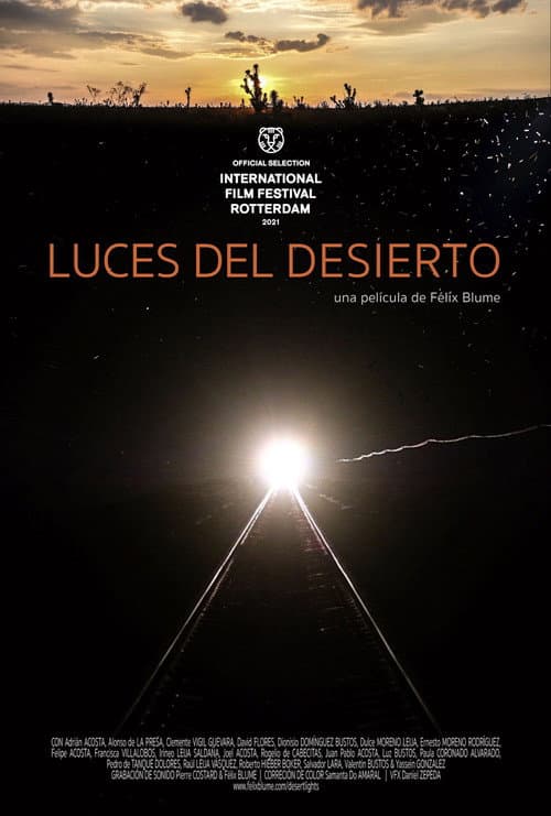 Lumières du désert