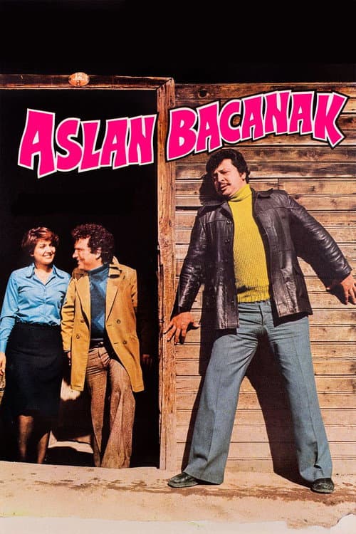 Aslan Bacanak