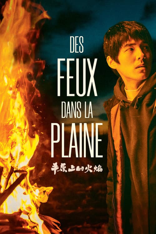 Des Feux dans la Plaine
