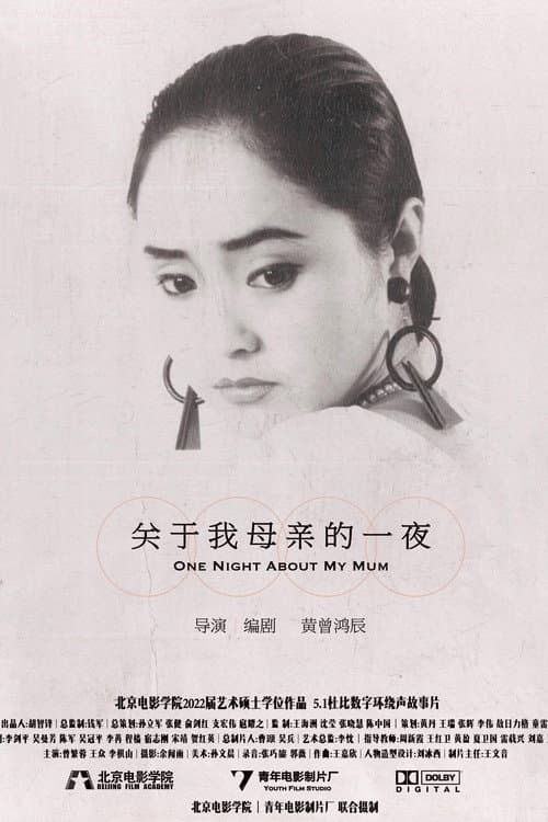 关于我母亲的一夜