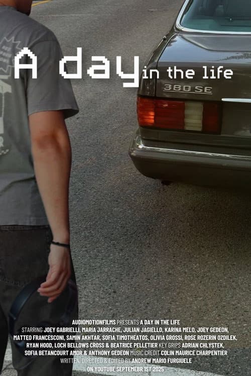 A day in the life