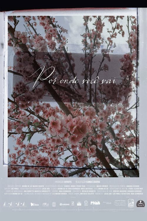 The places you wander