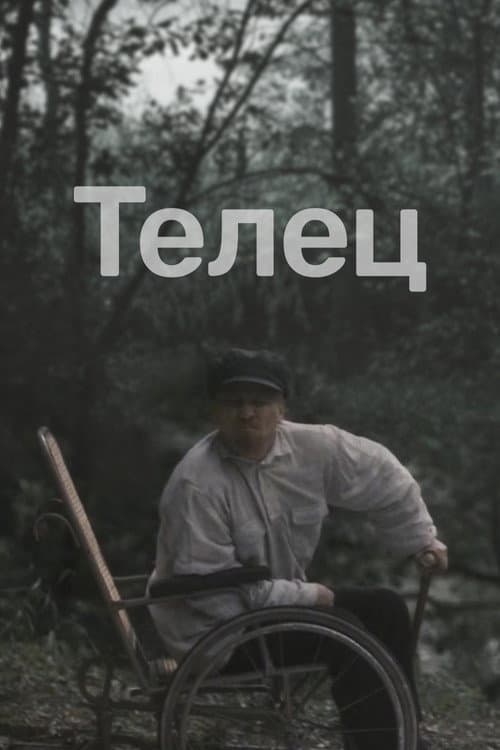 Taurus