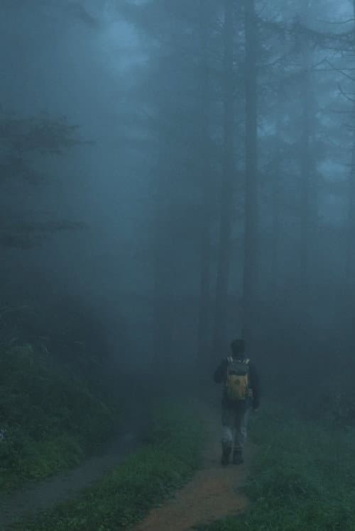 부자산행