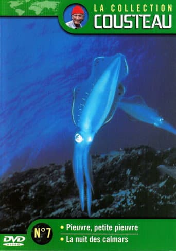La collection Cousteau N°7 | Pieuvre, petite pieuvre | La nuit des calmars